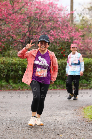 2026左岸竹東櫻花馬拉松Zhudong Sakura Marathon