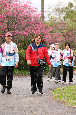 2026左岸竹東櫻花馬拉松Zhudong Sakura Marathon