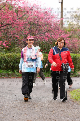2026左岸竹東櫻花馬拉松Zhudong Sakura Marathon
