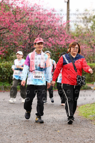 2026左岸竹東櫻花馬拉松Zhudong Sakura Marathon