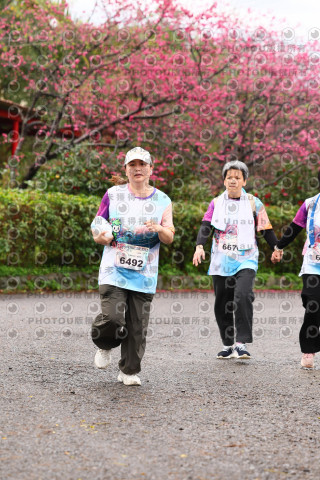 2026左岸竹東櫻花馬拉松Zhudong Sakura Marathon
