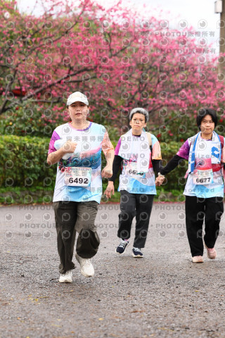 2026左岸竹東櫻花馬拉松Zhudong Sakura Marathon