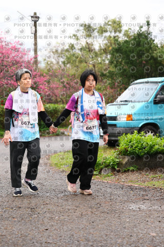 2026左岸竹東櫻花馬拉松Zhudong Sakura Marathon