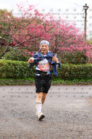 2026左岸竹東櫻花馬拉松Zhudong Sakura Marathon