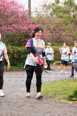 2026左岸竹東櫻花馬拉松Zhudong Sakura Marathon