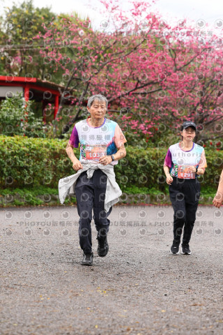 2026左岸竹東櫻花馬拉松Zhudong Sakura Marathon