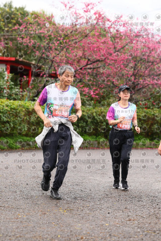 2026左岸竹東櫻花馬拉松Zhudong Sakura Marathon