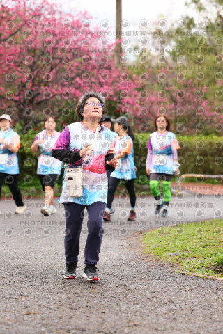 2026左岸竹東櫻花馬拉松Zhudong Sakura Marathon