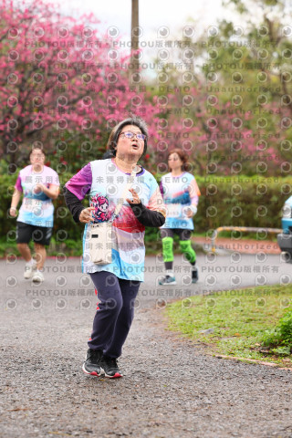 2026左岸竹東櫻花馬拉松Zhudong Sakura Marathon