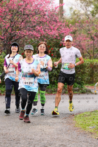 2026左岸竹東櫻花馬拉松Zhudong Sakura Marathon