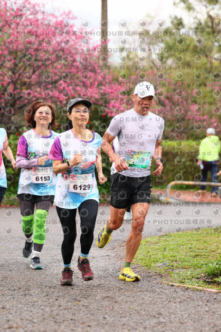 2026左岸竹東櫻花馬拉松Zhudong Sakura Marathon