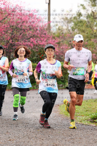 2026左岸竹東櫻花馬拉松Zhudong Sakura Marathon