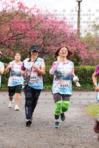 2026左岸竹東櫻花馬拉松Zhudong Sakura Marathon