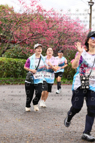 2026左岸竹東櫻花馬拉松Zhudong Sakura Marathon
