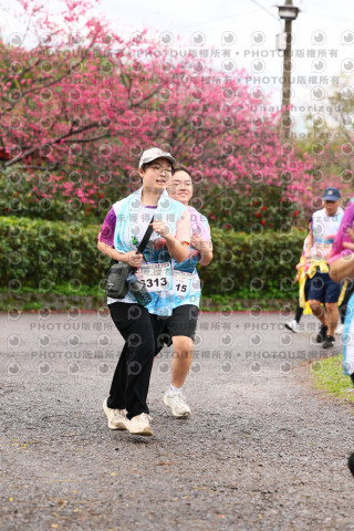 2026左岸竹東櫻花馬拉松Zhudong Sakura Marathon