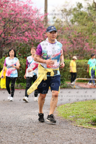 2026左岸竹東櫻花馬拉松Zhudong Sakura Marathon