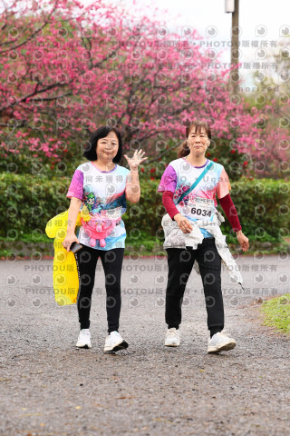 2026左岸竹東櫻花馬拉松Zhudong Sakura Marathon