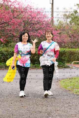 2026左岸竹東櫻花馬拉松Zhudong Sakura Marathon