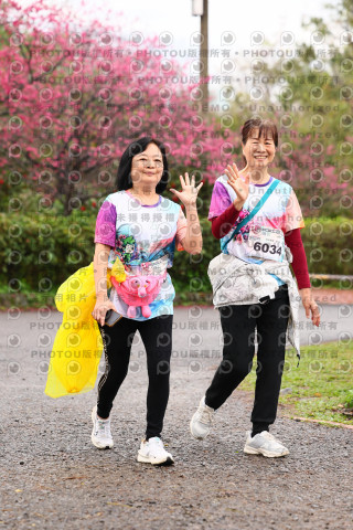 2026左岸竹東櫻花馬拉松Zhudong Sakura Marathon