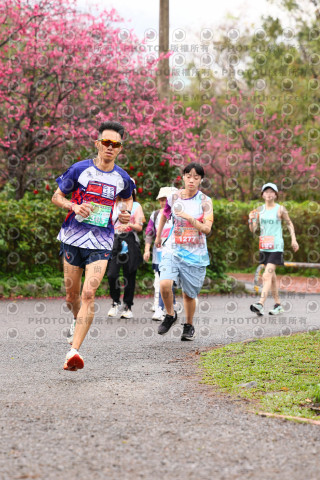 2026左岸竹東櫻花馬拉松Zhudong Sakura Marathon