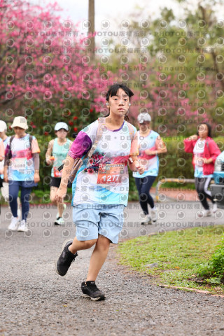 2026左岸竹東櫻花馬拉松Zhudong Sakura Marathon