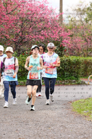 2026左岸竹東櫻花馬拉松Zhudong Sakura Marathon
