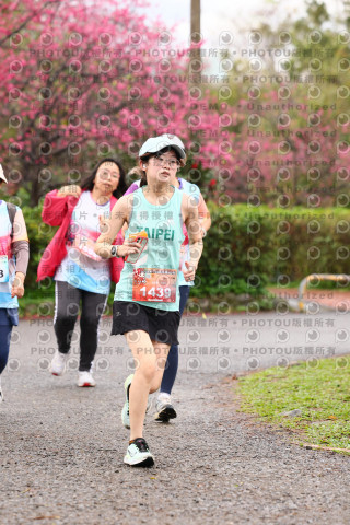 2026左岸竹東櫻花馬拉松Zhudong Sakura Marathon
