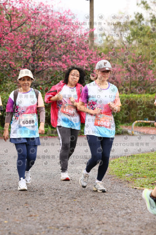 2026左岸竹東櫻花馬拉松Zhudong Sakura Marathon
