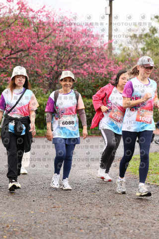 2026左岸竹東櫻花馬拉松Zhudong Sakura Marathon