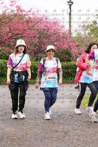 2026左岸竹東櫻花馬拉松Zhudong Sakura Marathon