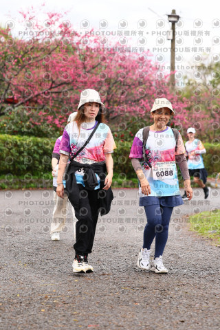 2026左岸竹東櫻花馬拉松Zhudong Sakura Marathon