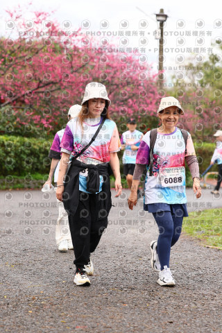 2026左岸竹東櫻花馬拉松Zhudong Sakura Marathon
