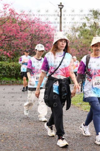 2026左岸竹東櫻花馬拉松Zhudong Sakura Marathon