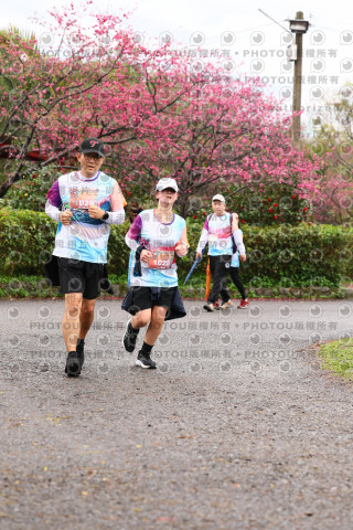 2026左岸竹東櫻花馬拉松Zhudong Sakura Marathon