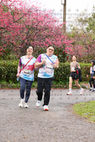 2026左岸竹東櫻花馬拉松Zhudong Sakura Marathon