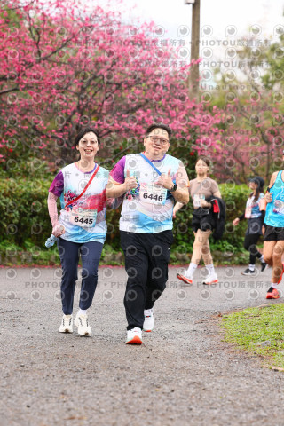 2026左岸竹東櫻花馬拉松Zhudong Sakura Marathon