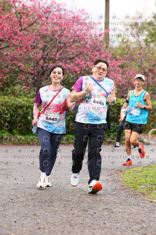 2026左岸竹東櫻花馬拉松Zhudong Sakura Marathon