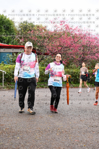 2026左岸竹東櫻花馬拉松Zhudong Sakura Marathon