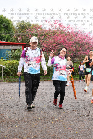 2026左岸竹東櫻花馬拉松Zhudong Sakura Marathon