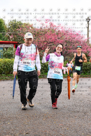 2026左岸竹東櫻花馬拉松Zhudong Sakura Marathon