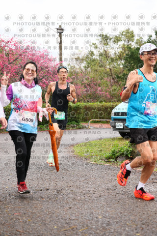 2026左岸竹東櫻花馬拉松Zhudong Sakura Marathon