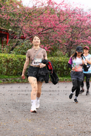 2026左岸竹東櫻花馬拉松Zhudong Sakura Marathon