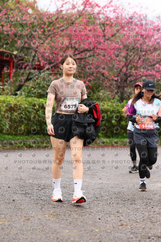 2026左岸竹東櫻花馬拉松Zhudong Sakura Marathon