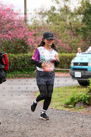 2026左岸竹東櫻花馬拉松Zhudong Sakura Marathon