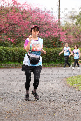 2026左岸竹東櫻花馬拉松Zhudong Sakura Marathon