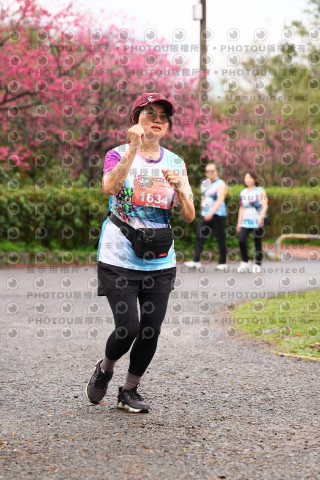 2026左岸竹東櫻花馬拉松Zhudong Sakura Marathon