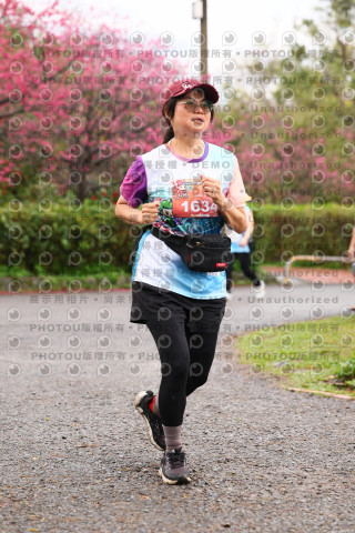 2026左岸竹東櫻花馬拉松Zhudong Sakura Marathon