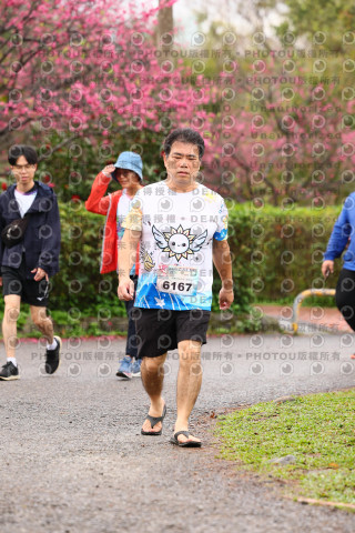 2026左岸竹東櫻花馬拉松Zhudong Sakura Marathon