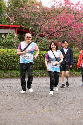 2026左岸竹東櫻花馬拉松Zhudong Sakura Marathon