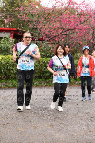 2026左岸竹東櫻花馬拉松Zhudong Sakura Marathon